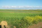Terrain agricole  de 2h 7500m²
