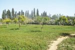 Lotissement mrezgua+