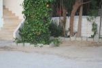 Terrain 132m² vta: 218++