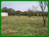 Terrain a batir  4000m²