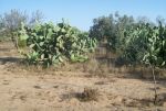 A vendre un terrain de 6190m²**