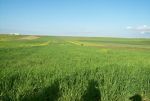 Terrain de 2h 7500m²+++