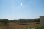 Terrain agricole  5000m²+