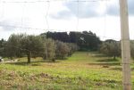 Terrain agricole  de 5000m²-