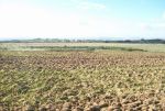Terrain  agricole 5000m²*