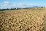 Offre spéciale -terrain-