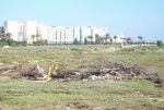 Terrain 8800m² à côté hammamet sud
