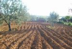 Vente terrain 1000 ou 1500 m² terrain plat