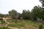 Terrain hammamet 1211m² vt : 358+