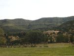 A vendre terrain agricole sise dans les haut de hammamet à el fawara