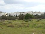 A vendre 2 lots situé à droite de la route principale derrière hammamet sud