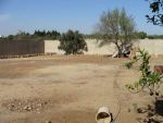 A vendre terrain agricole à hammamet d'une surface de 1500 m²