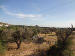 Terrain avec vue panoramique