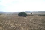 Av terrain tel jawal la campagne de hammamet