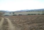 Av terrain tel jawal à la campagne de hammamet