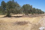 A vendre terrain de 200m² à hammamet