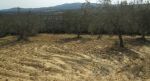 Terrain a hawaria nabeul avec vue mer