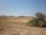Av terrain 60hectar jradou en route de zagwene