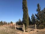 Très joli et discret terrain nu au kef ouest dans zone d'avenir