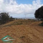 Terrain d’habitation 440 m²à ezahra kelibia