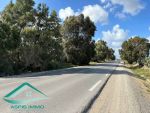 Terrain 1000 m² à kelibia sur la route principale kelibia hawar