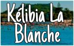Terrain a kelibia la blanche pour votre futur investissement