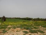 Bonne affaire terrain d'avenir
