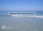 Des terrains prées de plage kerkouanekélibia a vendre