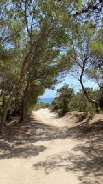 Un terrain paradisiaque avec façade sur mer