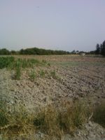 Terrain agricole irrigué