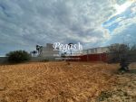 Un terrain à vendre avec un ancien houch au route du phare