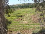 A vendre terrain sur la route de tunis