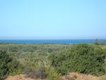 1 hectare 1ére position plage rtiba