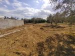 A vendre terrain el hammamet 200m