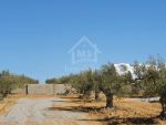 Lots de terrain constructibles à vendre à hammamet sud