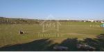 Terrain de 1000 m² à vendre à 85 md à sidi hammed