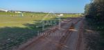 Terrain de 1000 m² à hammamet sud à vendre à 85 md