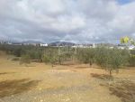Terrain de 1000 m² à hammamet sud à vendre à 110 md