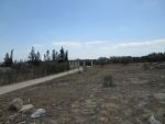 Av terrain 1000m sidi hamed a 10 min de hammamet