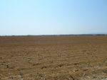 Grand terrain nu de 15000 m proche de hammamet sud