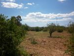 Av terrain a 10 min de hammamet sidi hamed 1200m