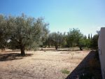 Terrain de 500 m à la compagne de hammamet