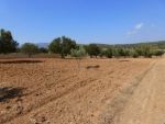 Terrain agricole pas cher à 7km d'hammamet