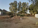 Lot de terrain sidi jedidi