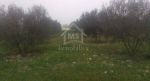 Terrain de 25 hectares avec 3 maisons à vendre à 400 md