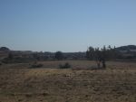 Terrain 2hectares et 4000m à sidi jdidi hammamet