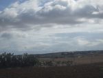 Av terrain agricole 25000m à sidi jdidi