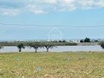 2 lot de terrains vue de mer à vendre à sidi mtir