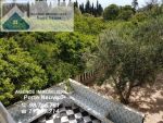 Maison de campagne 5000 m² ras jebel