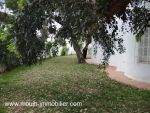Villa sam av à jinan hammamet i